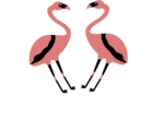 KaLouDreMilya Shirts